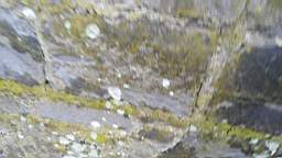 acastle 105750.jpg